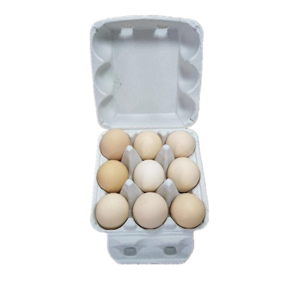 9枚纸浆鸡蛋盒