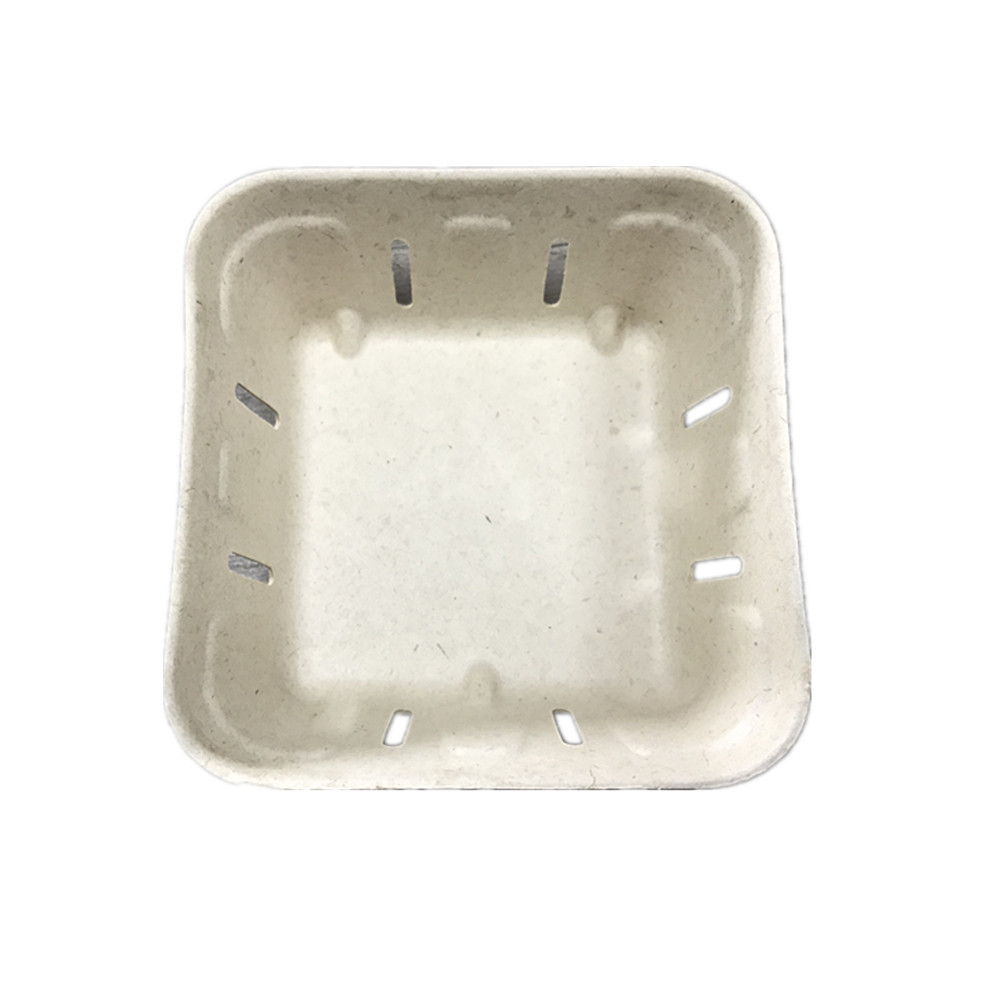 Pulp Fruit Tray Sugarcane